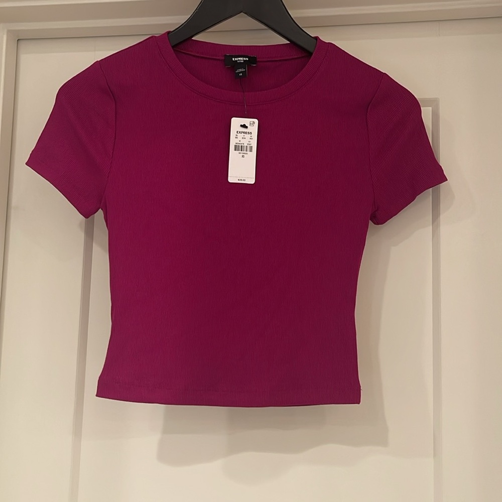 NWT Express Crop Top
